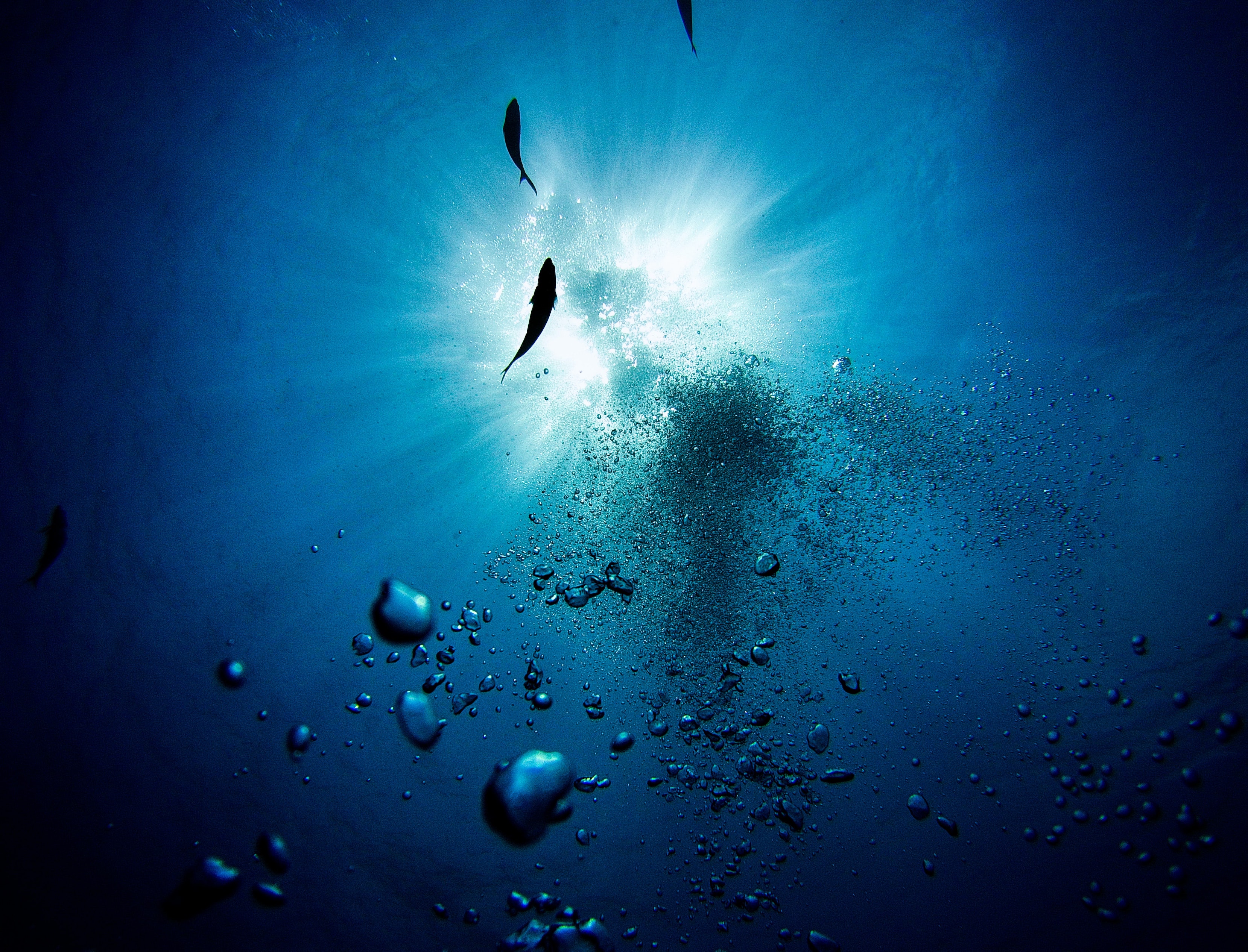 Scuba diving background image